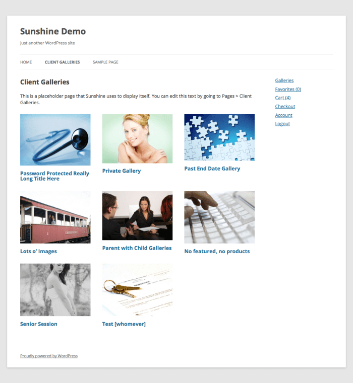 Sunshine in a default WordPress theme