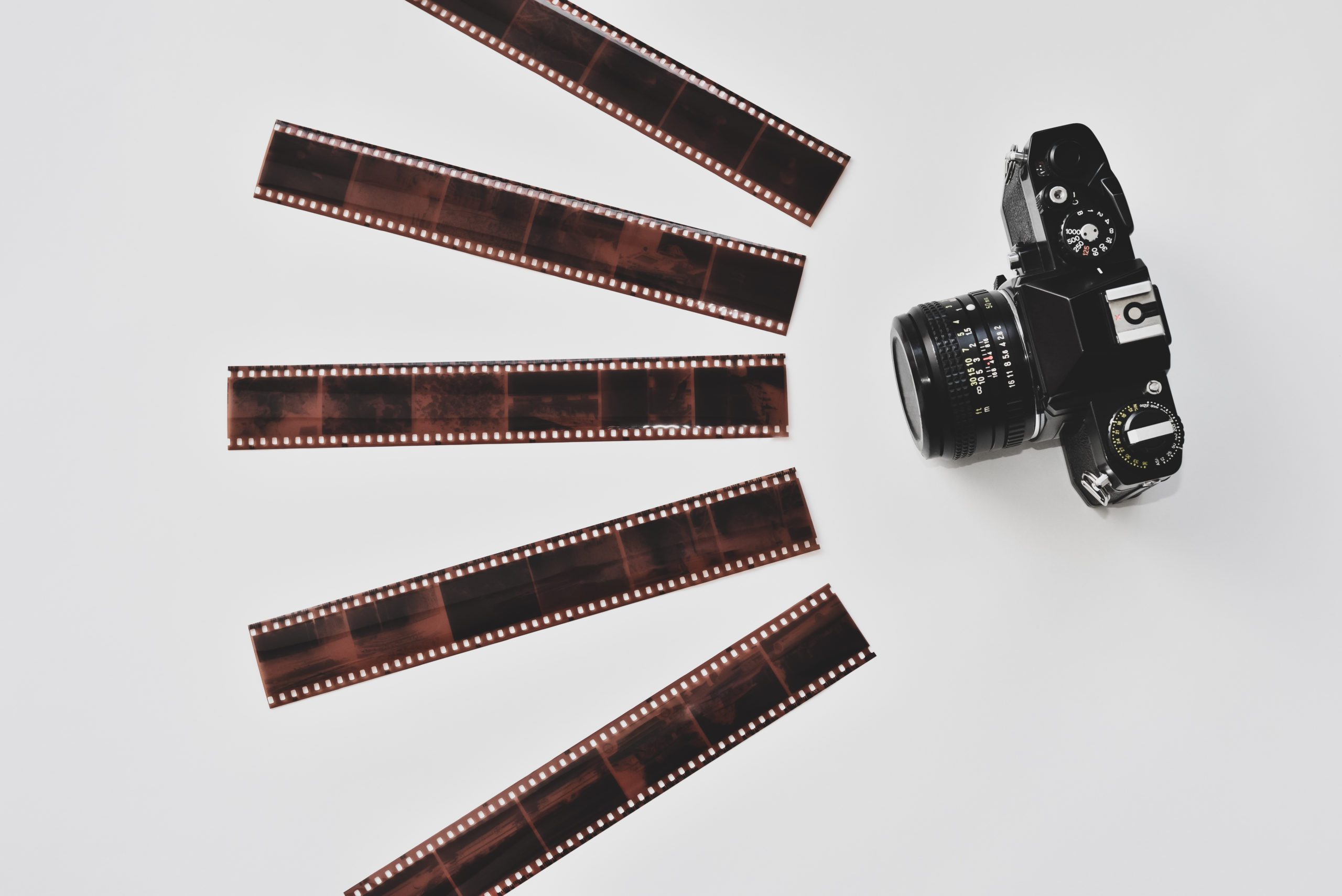 Pros and Cons of Offering Film Photography for Clients Sunshine Photo