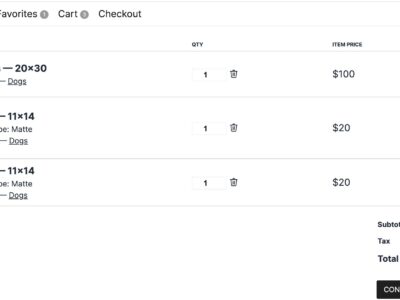 Screenshot of cart page