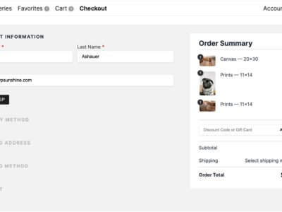 Screenshot of checkout page