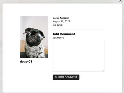 Screenshot of adding comment on image