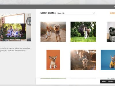 Screenshot of adding multiple images to cart at once