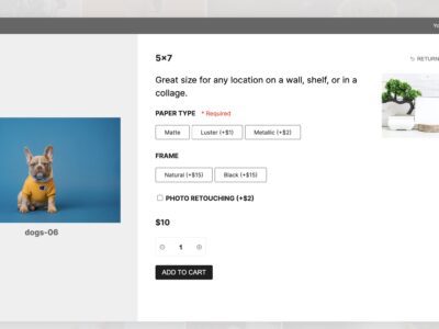 Screenshot of adding product to cart with options