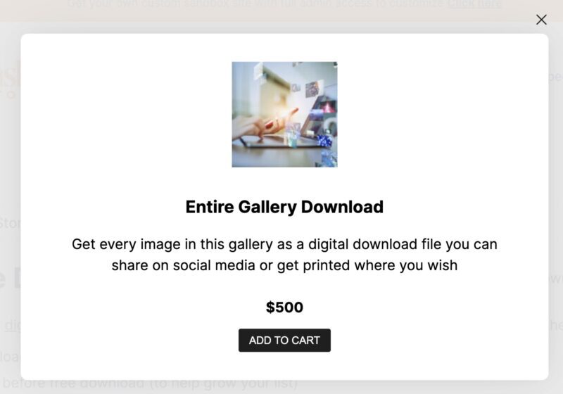 Screenshot of full gallery download purchase