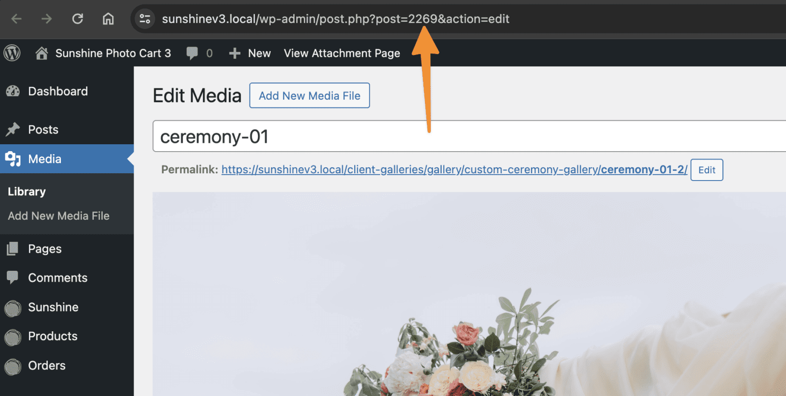 Screenshot showing where to get the image id from the URL